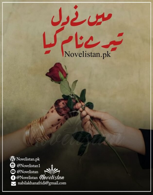 Main Ne Dil Tere Naam Kiya novel mein Shazam Sultan aur Mia ka forced marriage scene